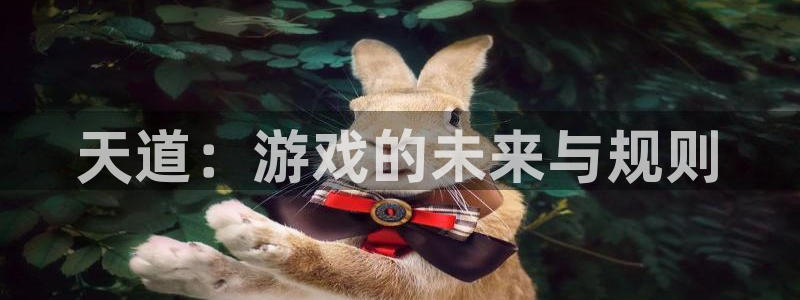 星欧娱乐平台官网注册：天道：游戏的未来与规则