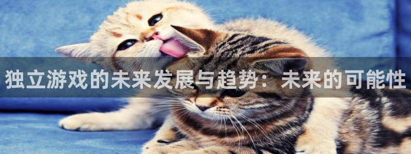 星欧娱乐平台登录线路：独立游戏的未来发展与趋势：未来的可能性