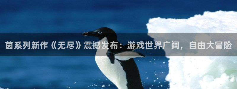 星欧娱乐手机网页版登录：茵系列新作《无尽》震撼发布：游戏世界