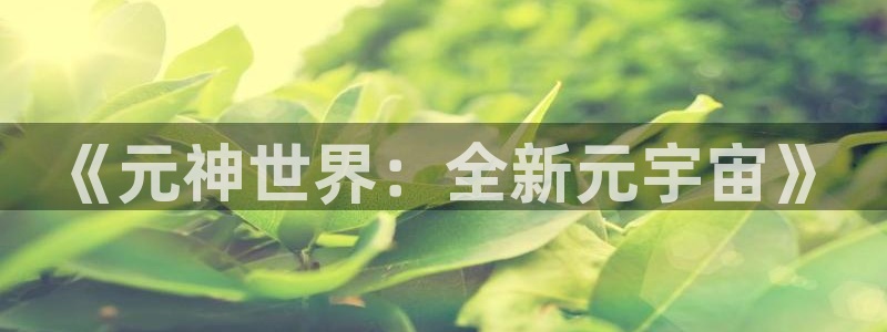 星欧娱乐代理登陆：《元神世界：全新元宇宙》