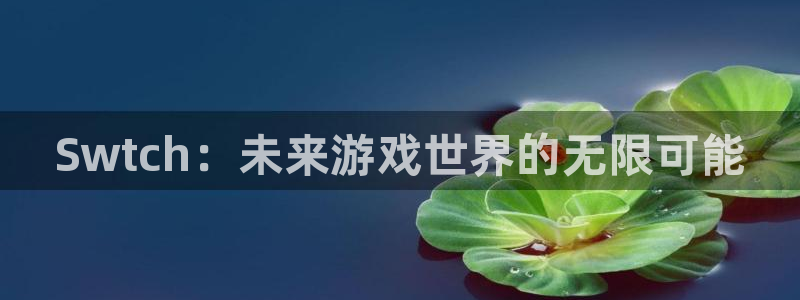 星欧娱乐网页登录入口官网：Swtch：未来游戏世界的无限可能