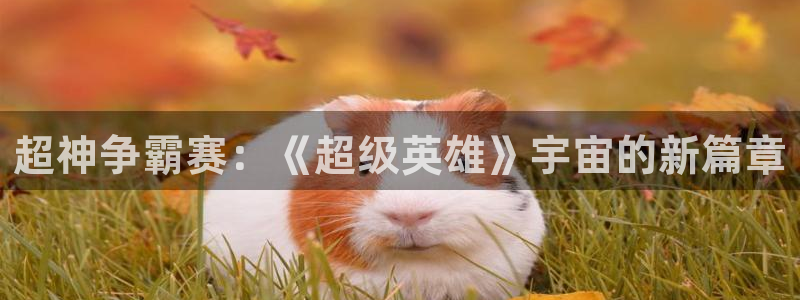 星欧娱乐注册服务条款：超神争霸赛：《超级英雄》宇宙的新篇章