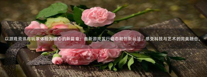 星欧娱乐平台注册资金多少：以游戏资讯与玩家体验为核心的新篇章