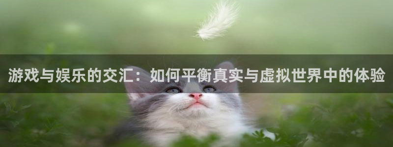 星欧娱乐平台官网入口：游戏与娱乐的交汇：如何平衡真实与虚拟世