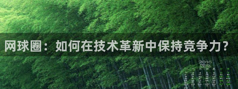 星欧娱乐官方注册登录：网球圈：如何在技术革新中保持竞争力？