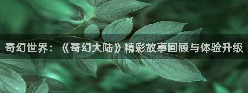 星欧娱乐登陆测速：奇幻世界：《奇幻大陆》精彩故事回顾与体验升