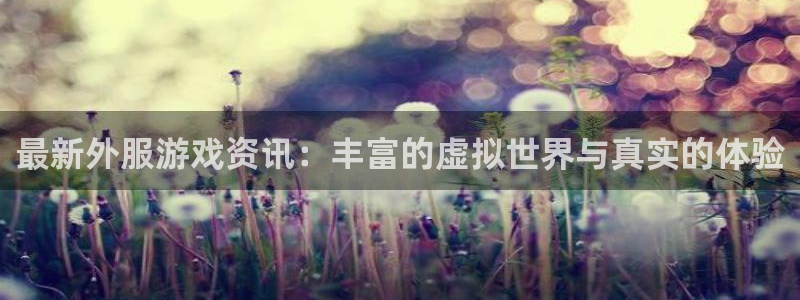 星欧娱乐体育：最新外服游戏资讯：丰富的虚拟世界与真实的体验