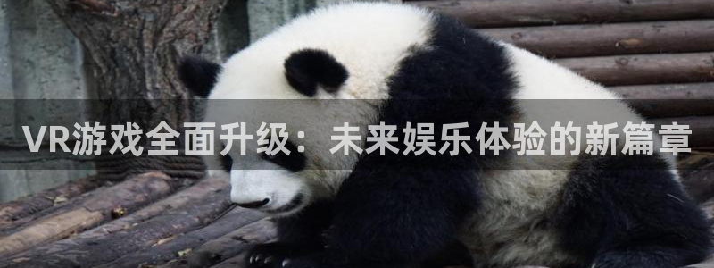 星欧娱乐科技集团怎么样：VR游戏全面升级：未来娱乐体验的新篇