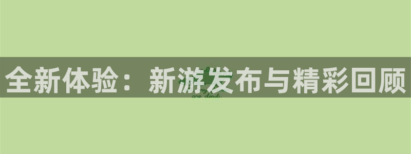 星欧娱乐官网网址：全新体验：新游发布与精彩回顾